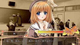 【汉化h游戏美少女下载/115/VIP】Really？Really！汉化硬盘版/SHUFFLE! Fandisk