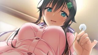 【汉化h游戏介绍】爱之钥