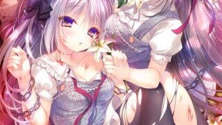 【汉化h游戏下载/百度云/机翻预警】真爱百合赤染（真爱の百合は赤く染まる）