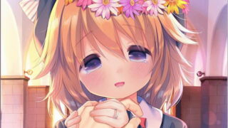 【汉化h游戏下载/百度云/磁力/VIP】与小萝莉相思相爱