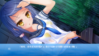 【汉化h游戏下载/磁力/百度云/VIP】与妹妹的记忆/妹を汚した記憶（全cg存档）