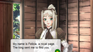 【Galgame游戏/Flash游戏下载】【百度/115网盘】帮公主拯救王国