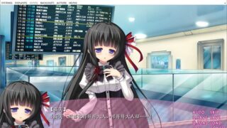 【汉化H游戏美少女游戏下载/VIP/磁力】妹妹特区~能与妹妹结婚的好时代来临了~ 汉化硬盘版[737M]