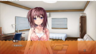 【汉化H游戏美少女游戏下载/磁力/VIP】AVG/母性女友 1+2 汉化硬盘版[1.73G]