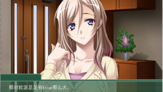 【汉化H游戏美少女游戏下载/磁力/VIP】巨乳母~我不会把母亲交给任何人~汉化硬盘版