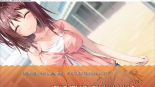 【汉化H游戏美少女游戏下载/磁力/VIP】AVG/母性女友 1+2 汉化硬盘版[1.73G]