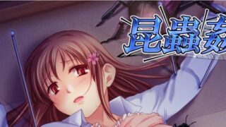 【h游戏合集/部分汉化/VIP】十二魔器整合硬盘版