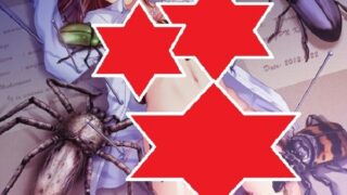 【h游戏合集/部分汉化/VIP】十二魔器整合硬盘版