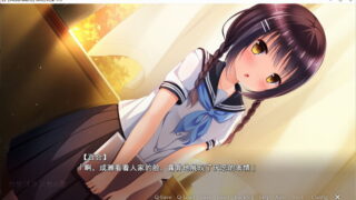 【汉化H游戏美少女游戏下载/磁力/VIP】卡萨布兰卡之蕾 汉化硬盘版[1.9G]