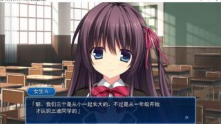 【汉化H游戏美少女游戏下载/磁力/VIP】PURELY×CATION 汉化硬盘版[5.44G]