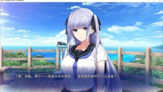 【汉化H游戏美少女游戏下载/磁力/VIP】水莲与紫苑 汉化硬盘版[2.39G]