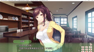 【汉化H游戏美少女游戏下载/VIP/磁力】ADV/KnotFiction/恋书 汉化硬盘版[600M]