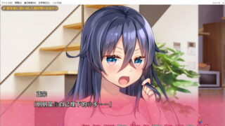 【汉化H游戏美少女游戏下载/磁力/VIP】ADV/后宫/白诘戒指 ～四等分的花嫁 全是我的～ 汉化硬盘版[2.25G]