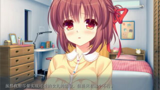 【汉化H游戏美少女游戏下载/磁力/VIP】甜蜜家庭～妻女和宠溺父亲的每一天～ 汉化硬盘版[1.32G]