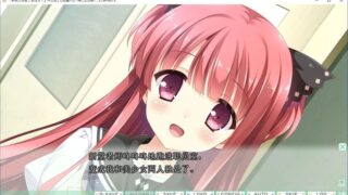 【汉化H游戏美少女游戏/磁力/VIP】新娘太好找了我很方！ 汉化硬盘版[2.85G]