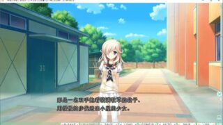 【汉化H游戏美少女游戏/磁力/VIP】新娘太好找了我很方！ 汉化硬盘版[2.85G]