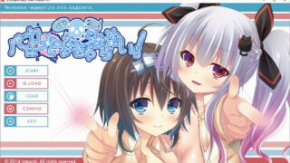 【汉化H游戏美少女游戏下载/磁力/VIP】ADV/笨蛋不死就治不好 汉化硬盘版[778M]