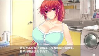 【汉化H游戏美少女游戏下载/磁力/VIP】姐姐×SHUFFLE！ 汉化硬盘版[2.16G]