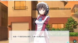 【汉化H游戏美少女游戏下载/磁力/VIP】ADV/笨蛋不死就治不好 汉化硬盘版[778M]