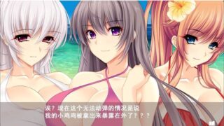 【汉化H游戏美少女游戏下载/磁力/VIP】夏汁100% 汉化硬盘版[2.28G]