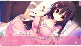 【汉化H游戏美少女游戏下载/磁力/VIP】树莓立方体 Ver1.01汉化硬盘版[5.78G]