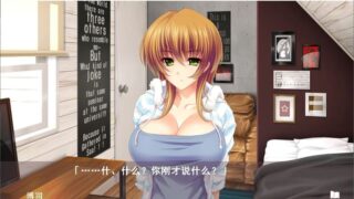 【汉化H游戏美少女游戏下载/磁力/VIP】姐姐×SHUFFLE！ 汉化硬盘版[2.16G]