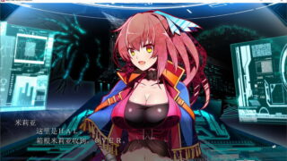 【汉化H游戏美少女游戏下载/磁力/VIP】ALPHA-NIGHTHAWK 汉化硬盘版[2.41G]