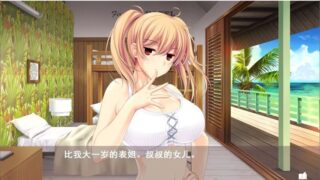 【汉化H游戏美少女游戏下载/磁力/VIP】夏汁100% 汉化硬盘版[2.28G]