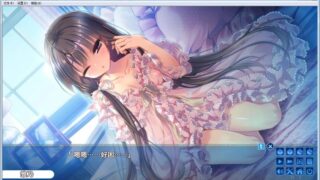 【汉化H游戏美少女游戏下载/磁力/VIP】忘却管家与恋爱大小姐的回忆录 汉化硬盘版[680M]