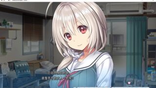 【汉化H游戏美少女游戏下载/磁力/VIP】尽情撒娇，请更多的依赖我吧，哥哥！ 汉化硬盘版[466M]