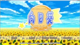 【汉化H游戏美少女游戏下载/VIP】向日葵：天空鹅卵石 汉化版[2.64G]