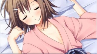 【汉化H游戏美少女游戏下载/磁力/VIP】秀吉和明久的新婚温泉旅行 汉化硬盘版[104M]