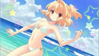 【汉化H游戏美少女游戏下载/磁力/VIP】Flyable CandyHeart 汉化硬盘版[1.66G]