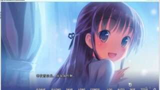 【汉化H游戏美少女游戏下载/磁力/VIP】我的妹妹是能干的エロ声优 汉化硬盘版[501M]