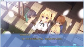 【汉化H游戏美少女游戏下载/磁力/VIP】野良与皇女与流浪猫之心2 汉化硬盘版[6.50G]