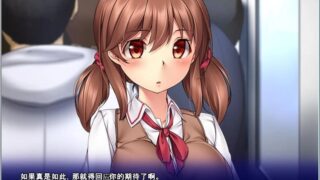 【汉化H游戏美少女游戏下载/磁力/VIP】不能对他说的耻辱关系 汉化硬盘版[1.63G]