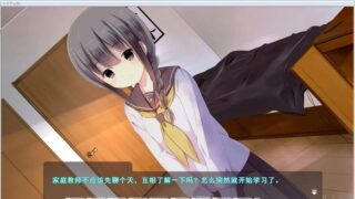 【汉化H游戏美少女游戏下载/磁力/VIP】太过幼齿的家庭教师 汉化硬盘版[207M]