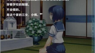 【汉化H游戏美少女游戏下载/磁力/VIP】痕－きずあと－复刻版 V0.8 汉化硬盘版[1.20G]