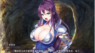 【汉化H游戏美少女游戏下载/磁力/VIP】爆乳姫騎士 繁中汉化硬盘版[493M]