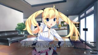 【汉化H游戏美少女游戏下载/磁力/VIP】灰色系列/灰色的迷宫汉化硬盘版