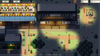 【汉化H游戏美少女游戏下载/VIP】火影同人游戏/女忍者训练师