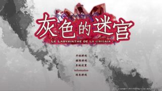 【汉化H游戏美少女游戏下载/磁力/VIP】灰色系列/灰色的迷宫汉化硬盘版