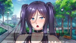 【汉化H游戏美少女游戏下载/磁力/VIP】女仆调教日志汉化硬盘版