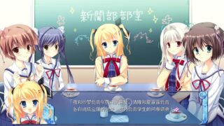 【汉化H游戏美少女游戏下载/磁力/VIP】D.C.III.P.P（初音岛3PP）