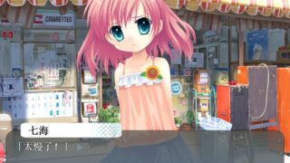 【汉化H游戏美少女游戏下载/磁力/VIP】萌夏+(Moenatsu Plus) 汉化版