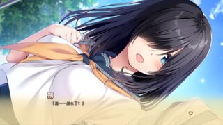 【汉化H游戏美少女游戏下载/磁力/VIP】爱巢2汉化硬盘版