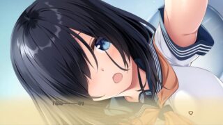 【汉化H游戏美少女游戏下载/磁力/VIP】爱巢2汉化硬盘版