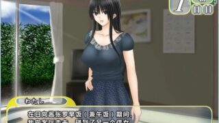【汉化H游戏美少女下载/磁力/VIP】和侄女的夏天 汉化免安装版[835M]