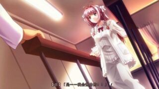 【汉化H游戏美少女游戏下载/磁力/VIP】你所期待的永远/君が望む永遠汉化版