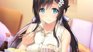 【汉化H游戏美少女游戏下载/磁力/VIP】爱之钥甜园夏日 汉化硬盘版[1.21G]